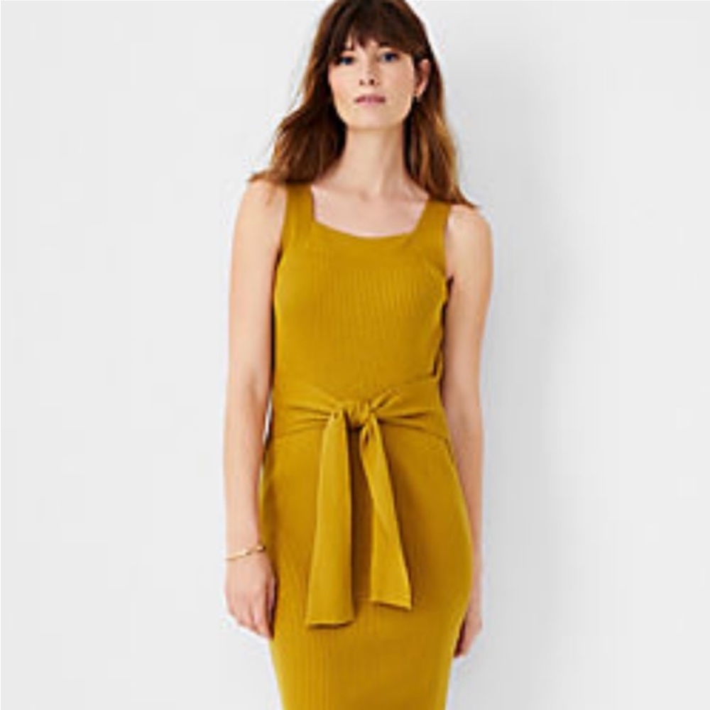 NWT Ann Taylor Sleeveless Tie Waist - XXS Petite